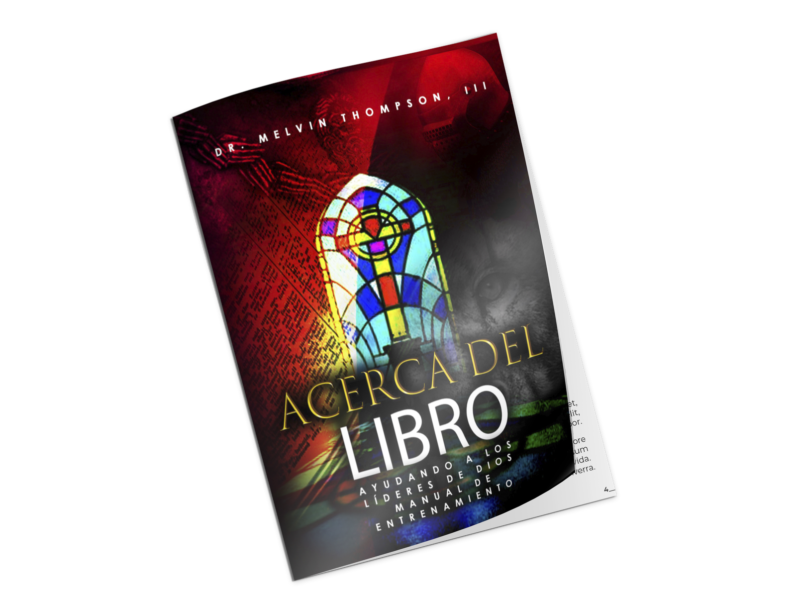 Acerca del Libro